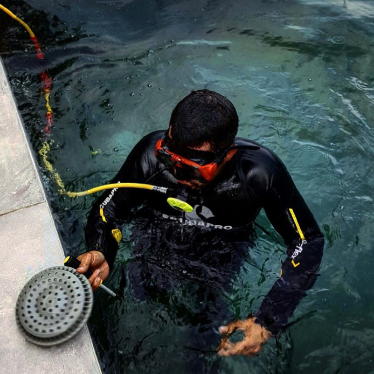 Logo for Tigershark Pool Service