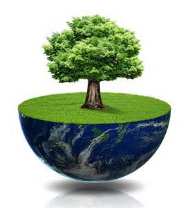 Logo for Hercules Tree Service