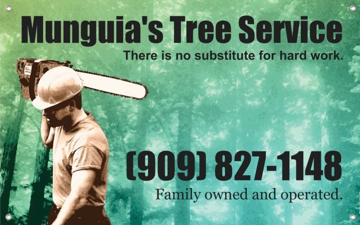 Avatar for Munguia's Tree Service