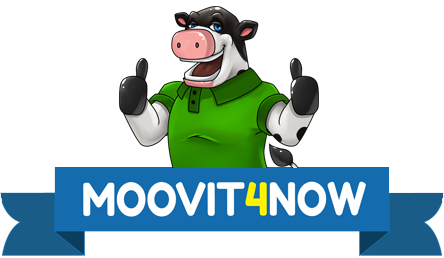 Avatar for MOOVIT4NOW