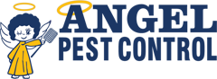 Avatar for Angel Pest Control