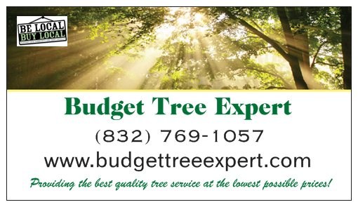 Avatar for Budget Tree Expert