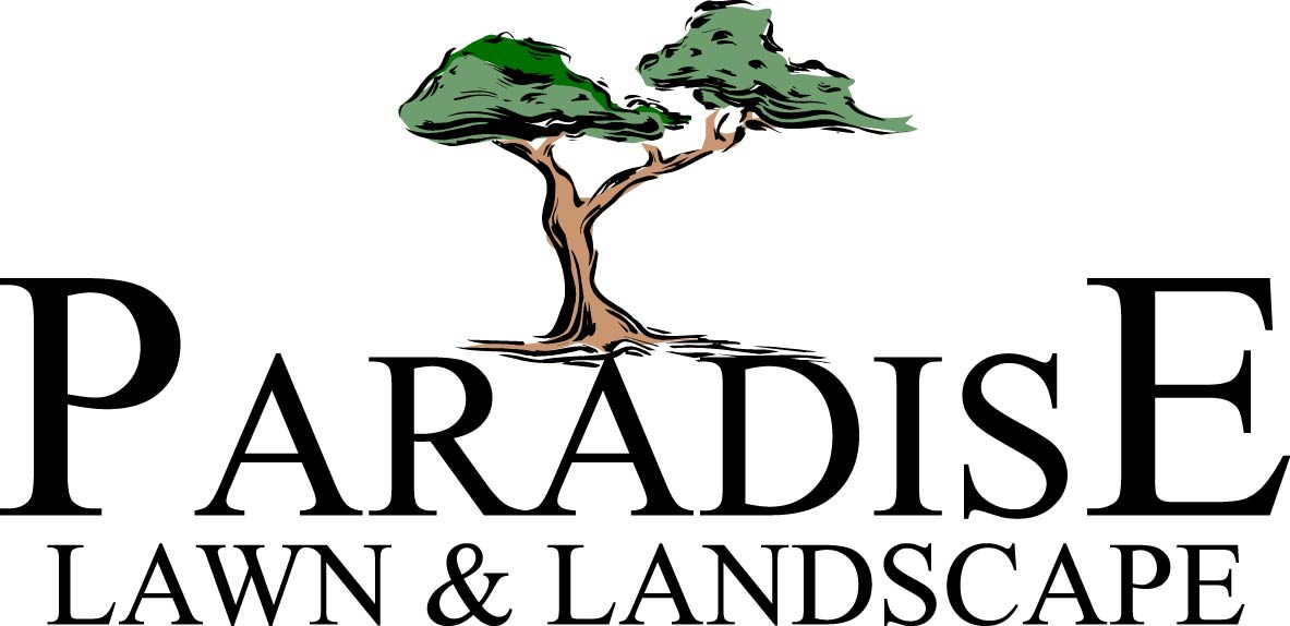 Avatar for Paradise Yards, LLC DBA Paradise Lawns