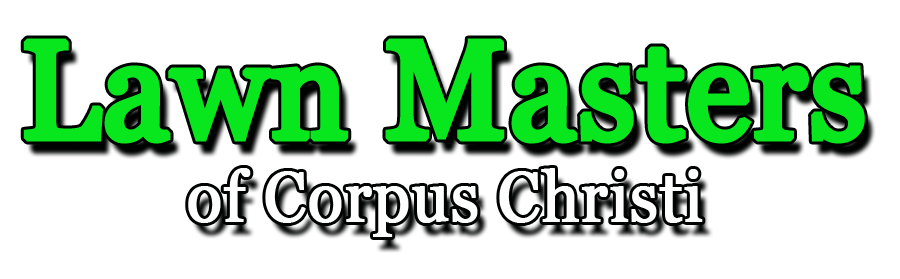 Avatar for Lawn Masters of Corpus Christi
