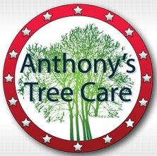 Logo for Anthony's Tree Care