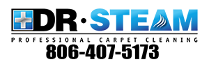 Avatar for Dr. Steam