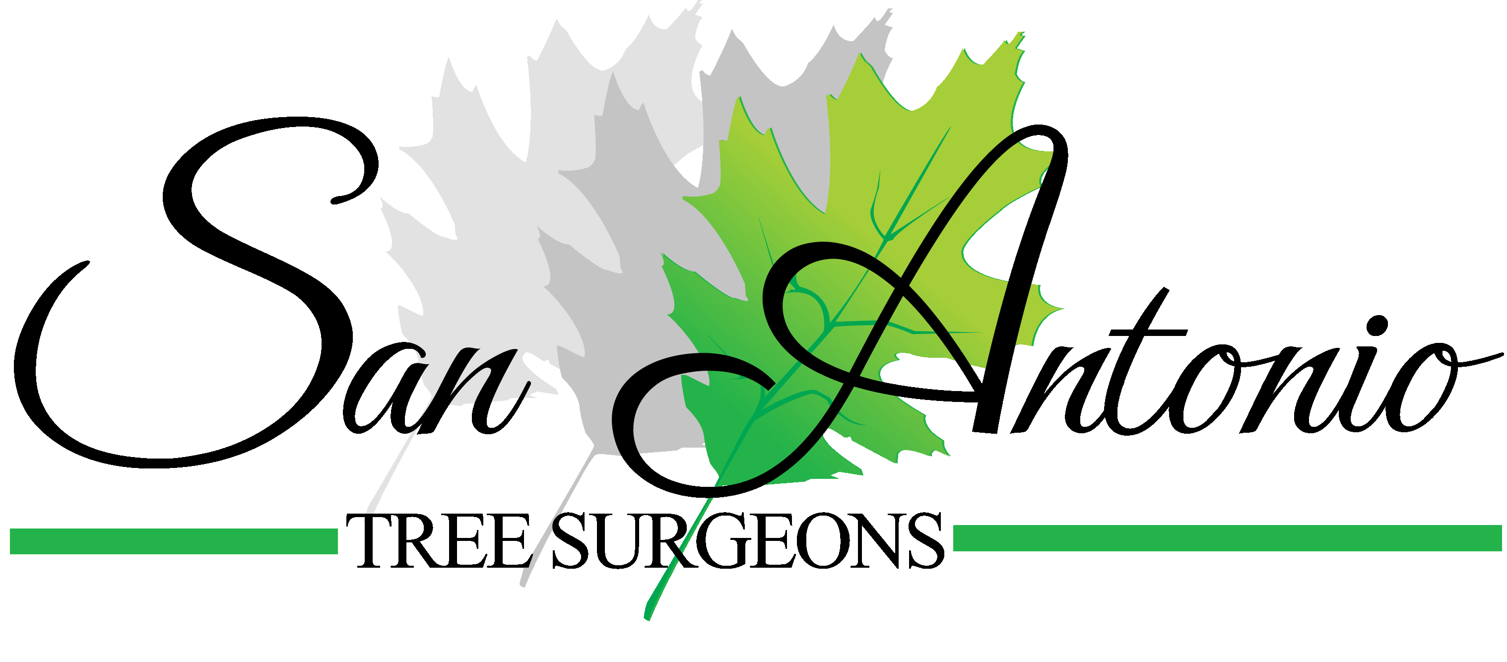 Logo for San Antonio Tree Surgeons