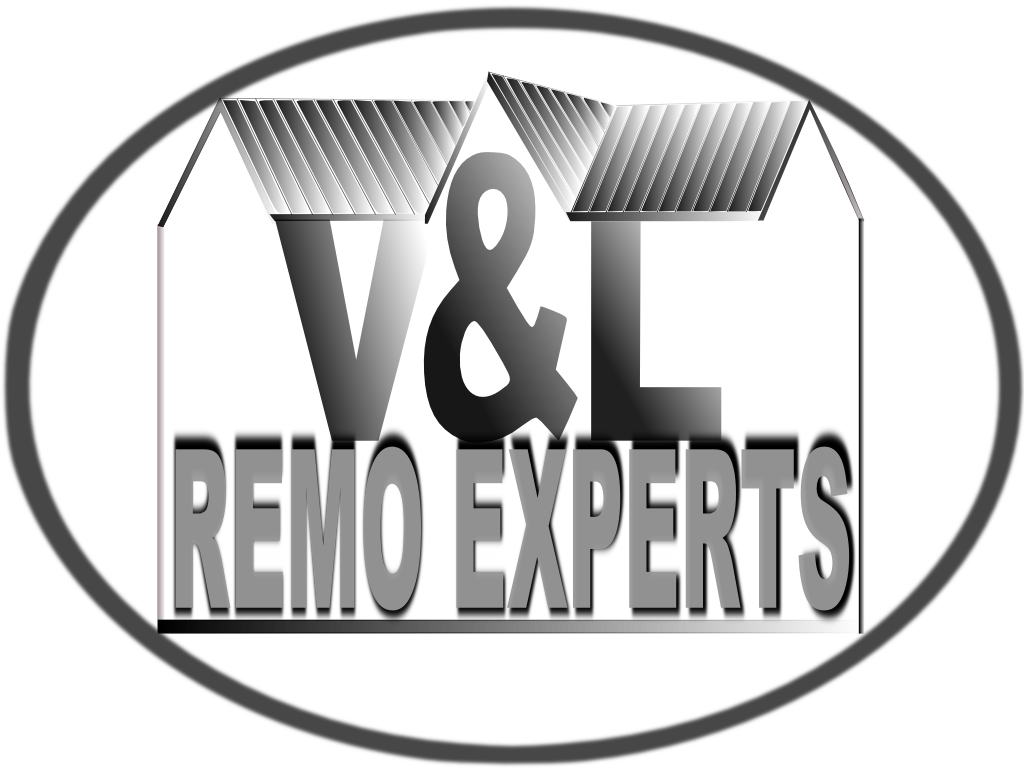 Avatar for v&l remo experts