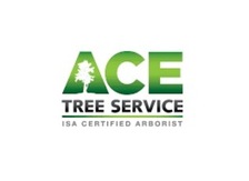 ACE Tree Service logo