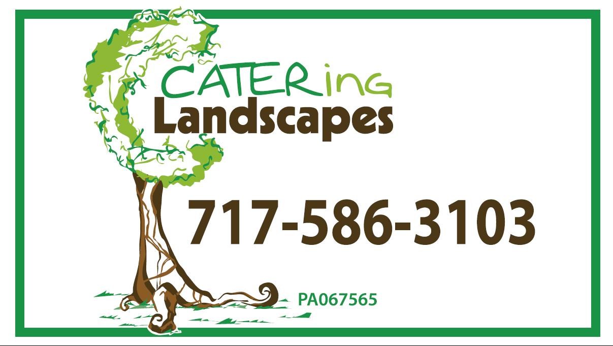 Avatar for Catering Landscapes