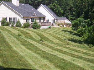 Logo for Moores Lawn Care