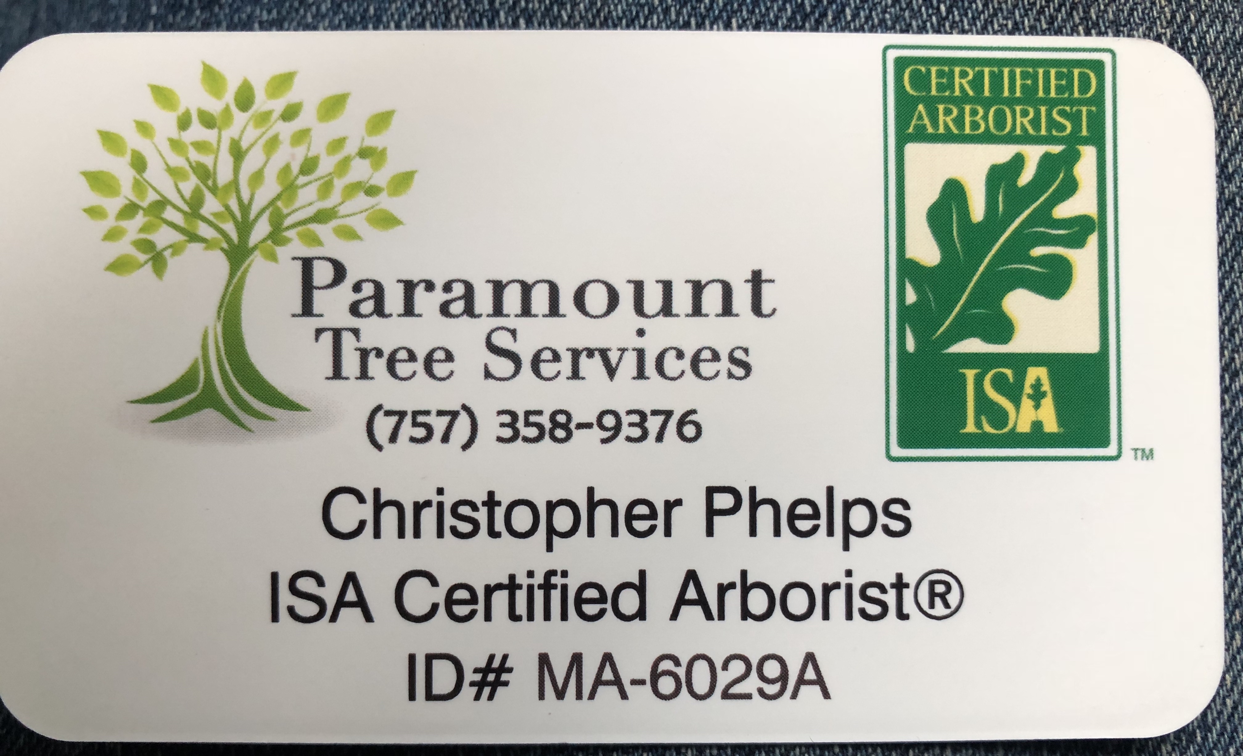 Avatar for Paramount Tree Services, LLC