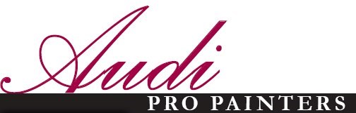 Avatar for Audi Pro Painters