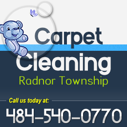 Carpet Cleaning Radnor Twp logo