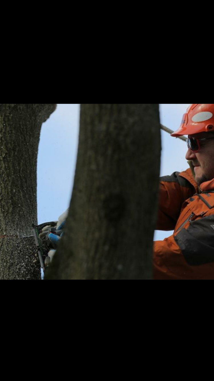 CPL Property and Tree logo