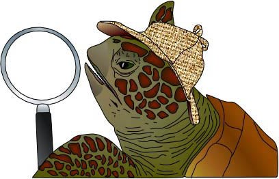 Avatar for Terrapin Inspection LLC