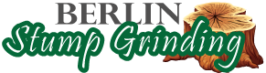 Avatar for Berlin Stump Grinding