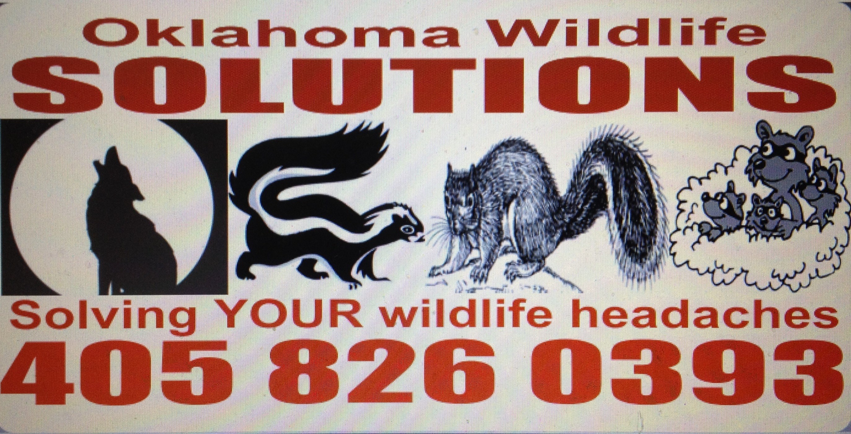 Logo for Oklahoma Wildlife Solutions LLC