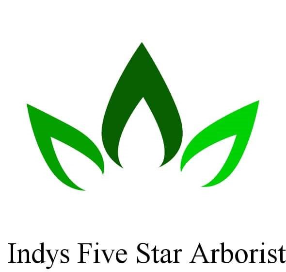 Avatar for Indy's Five Star Tree Service LLC