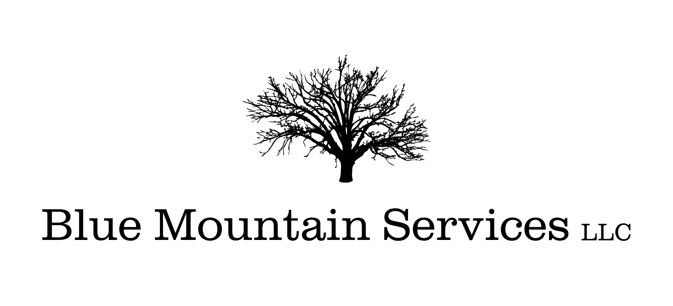 Avatar for Blue Mountain Services, LLC