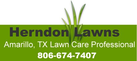 Avatar for Herndon Lawns