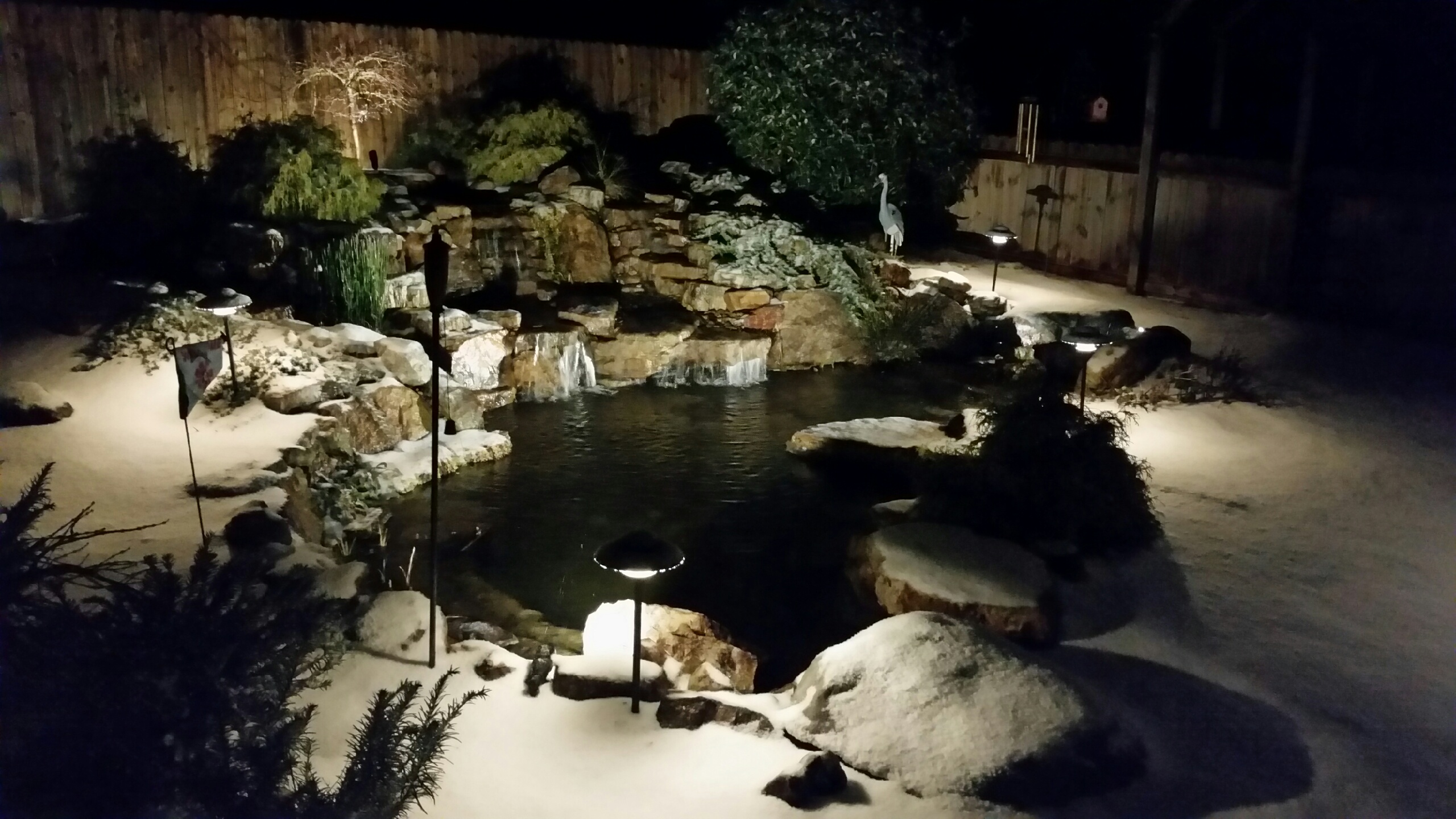 Avatar for Rose Ponds and Lighting