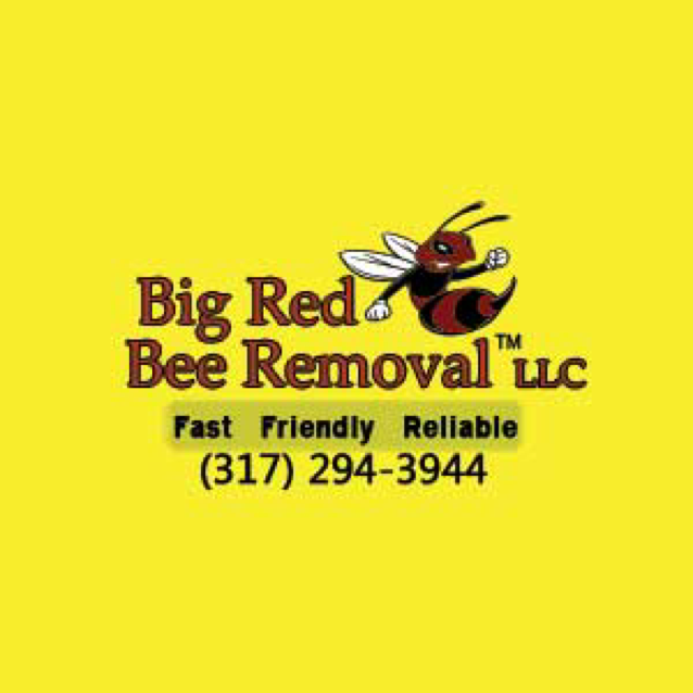 Logo for Big Red Bee Removal