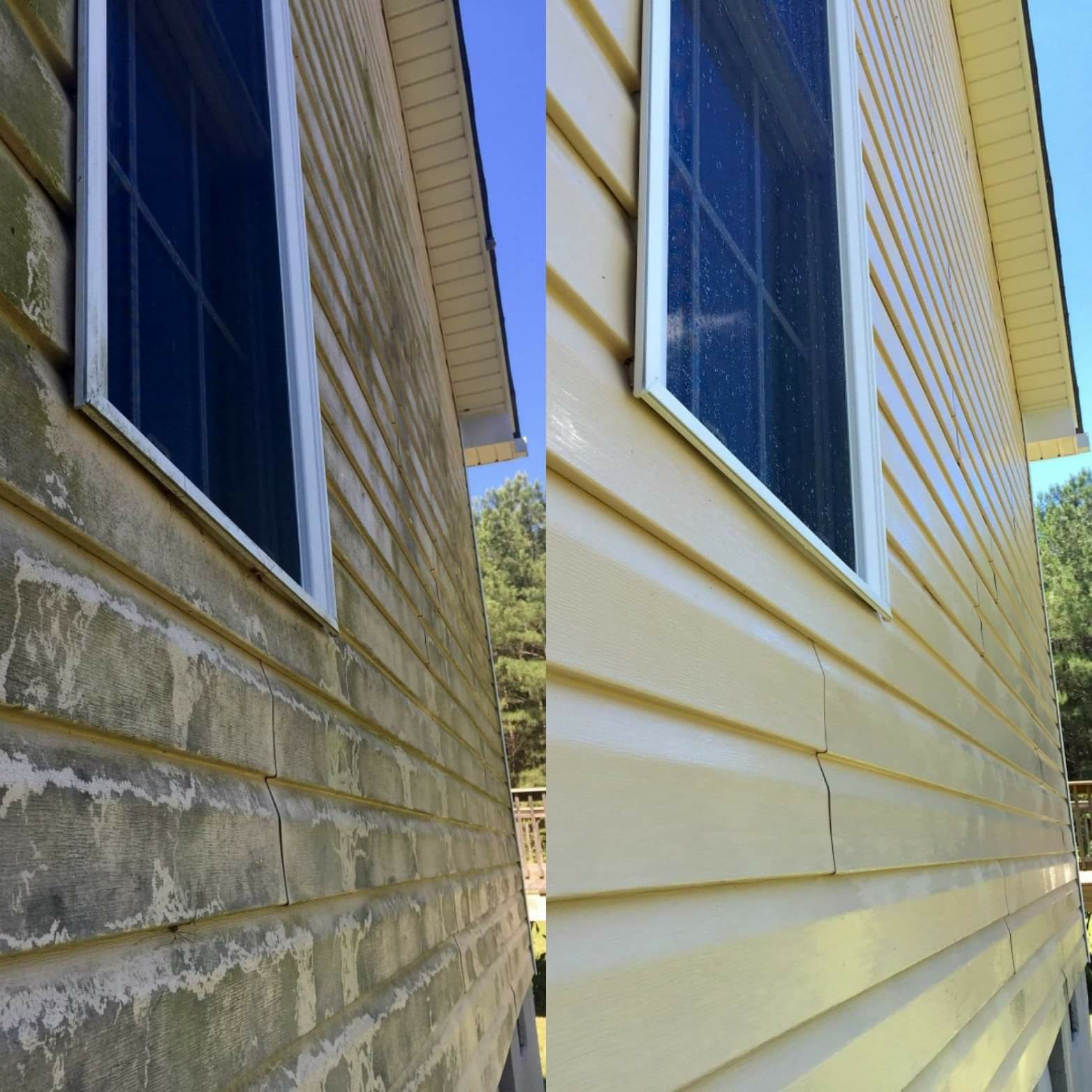 Avatar for J&A Professional Window Cleaning