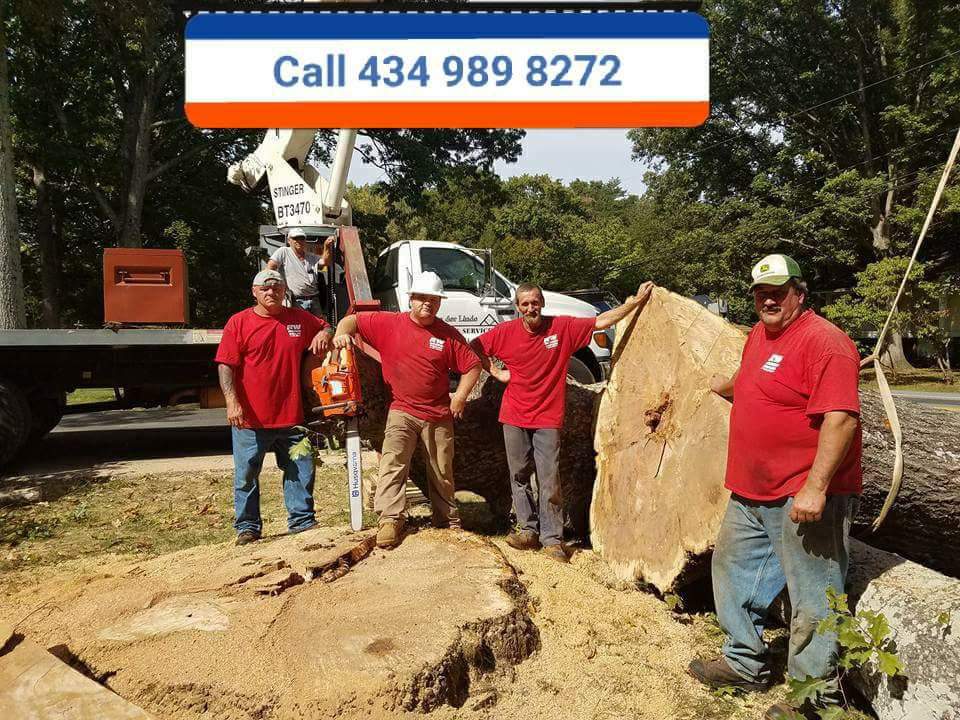 Avatar for R & W hauling & Tree service