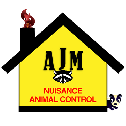 Avatar for AJM Nuisance Animal Control, L.L.C.