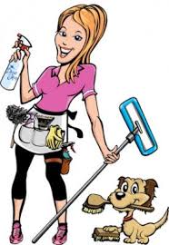 Avatar for VLSmith Clean Team