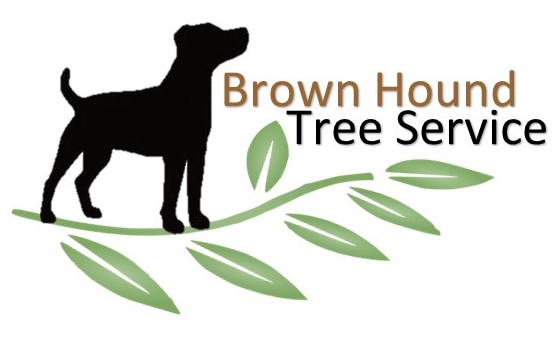 Logo for Brown Hound Tree Service