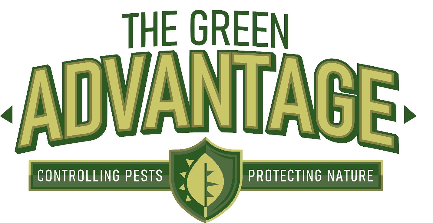 Logo for The Green Advantage