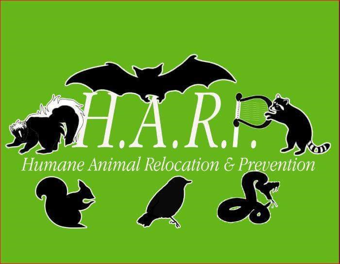 Avatar for humane animal relocation & prevention