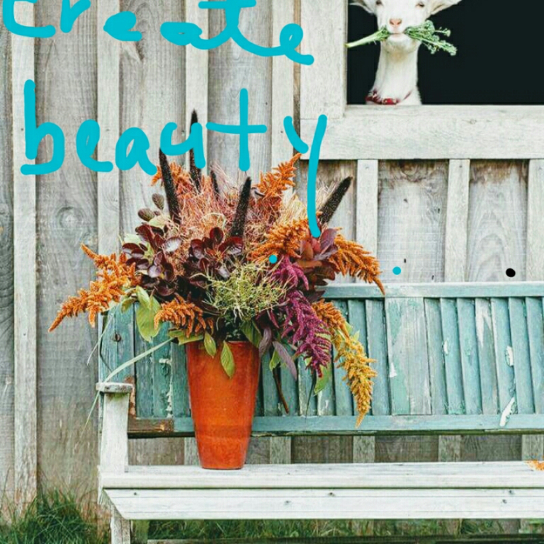 Avatar for All Things Made Beautiful By Terri