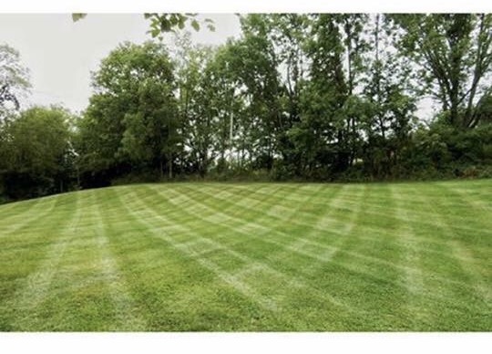 Avatar for American Lawn & Landscape