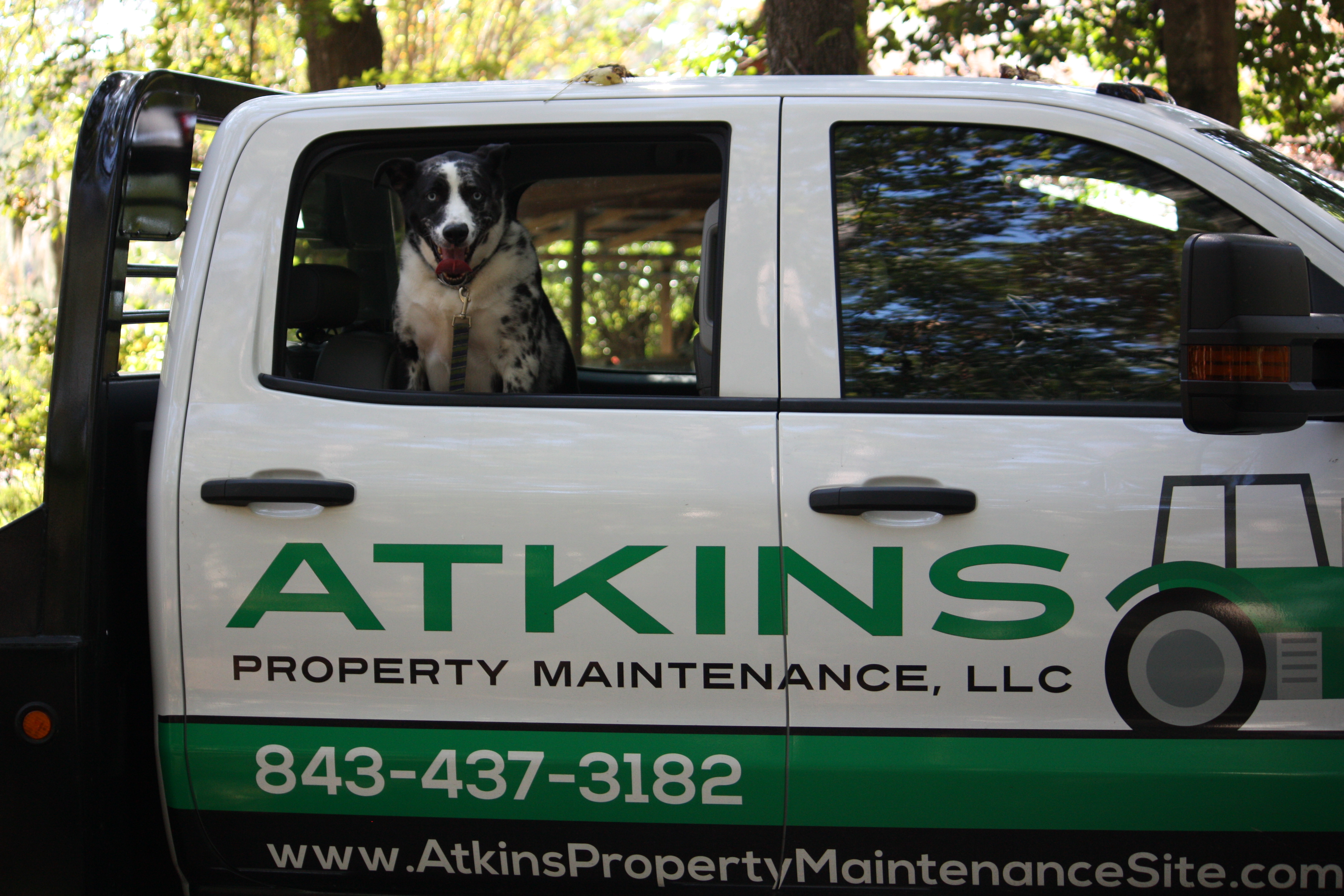 Avatar for Atkins Property Maintenance, LLC