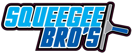 Avatar for Squeegee Bros. Window Cleaning