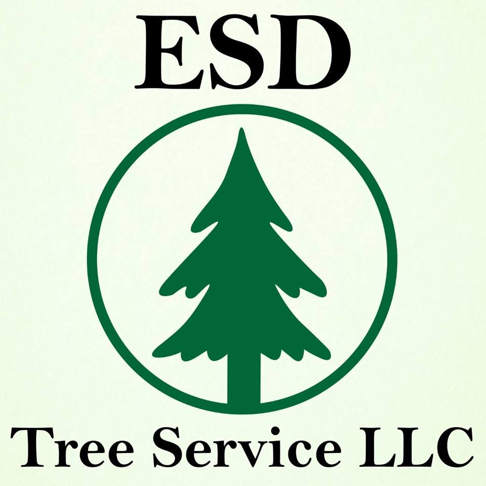 Avatar for ESD Tree Service LLC