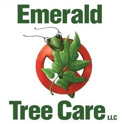 Emerald Tree Care, LLC logo
