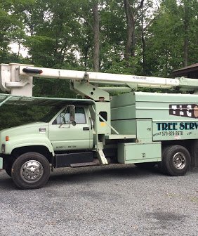 Avatar for TLC Tree Service