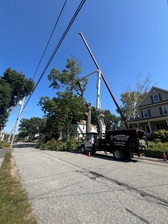 Avatar for Gomez Landscaping INC