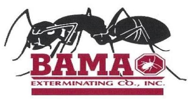 Avatar for Christmas Decor By Bama Exterminating