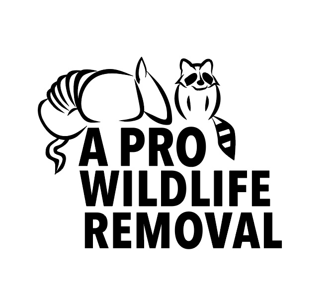 Avatar for A Pro Wildlife Removal