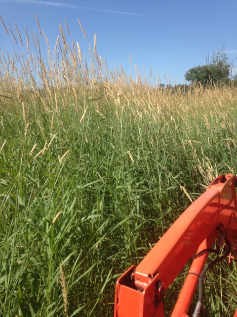 Avatar for Northwest Tractor Services