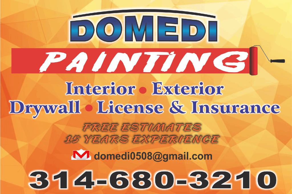 Logo for domedi painting