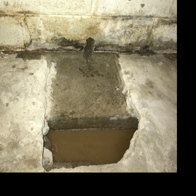 Logo for Reeds Independent Drain Tile Test LLC