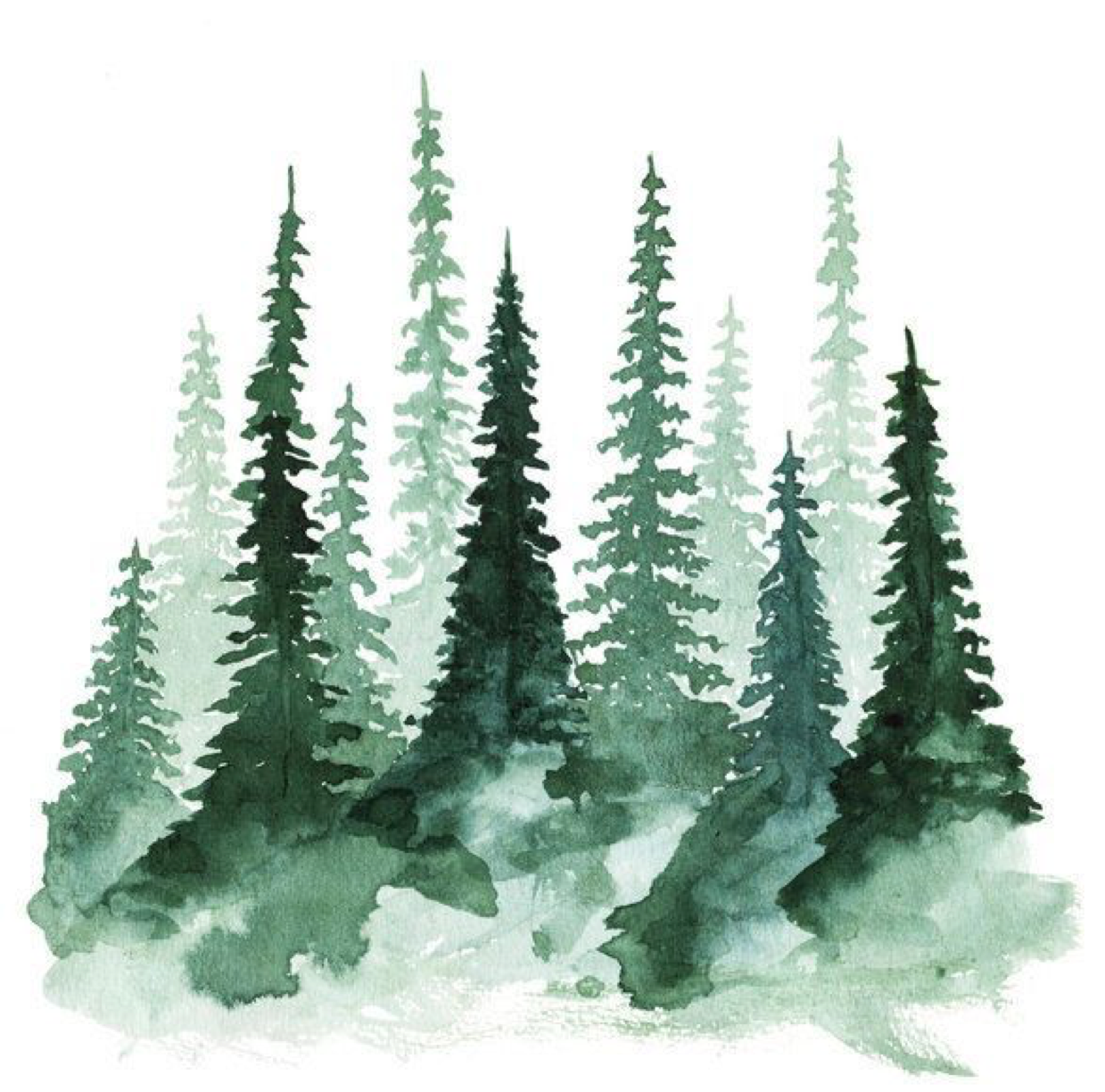 Avatar for Between the Pines Housekeeping