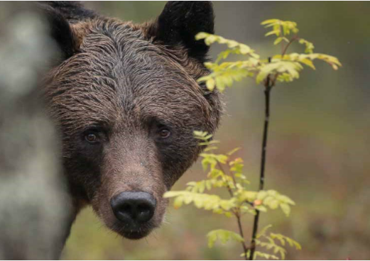 Avatar for Margo Supplies LTD