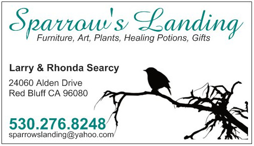 Avatar for Sparrow's Landing